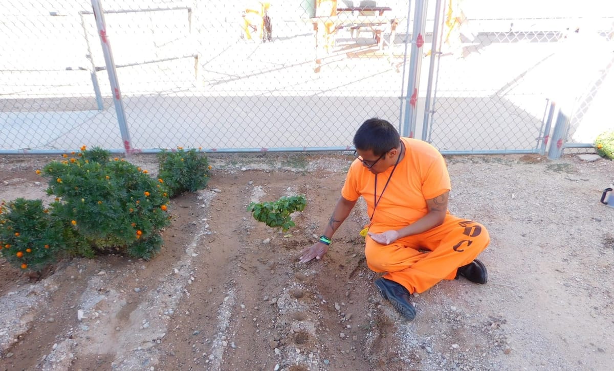UA prison garden program pauses after federal grant ends
