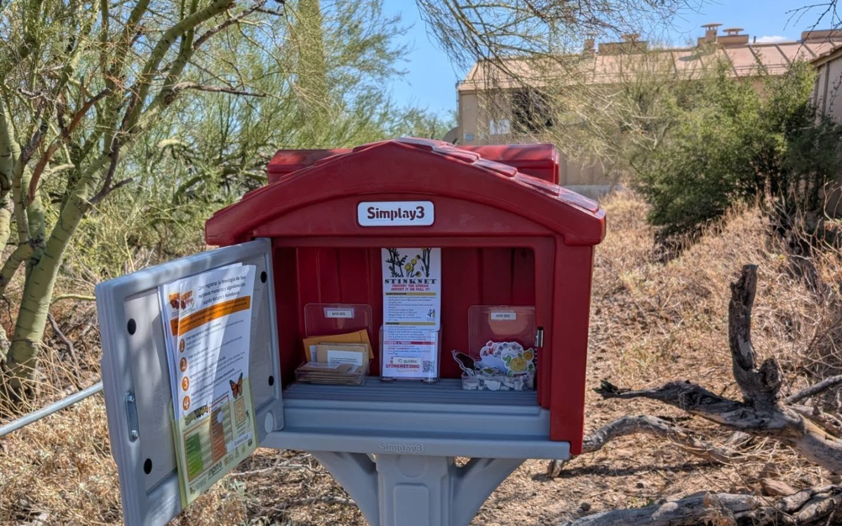 Free book swap coming to Tumamoc Hill Friday