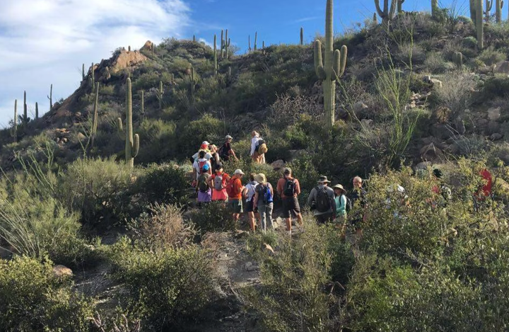 Marana hosts guided hikes exploring traditional uses of native plants