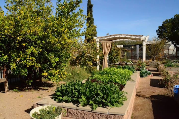 SNAP-Ed cuts force South Tucson’s Garden Kitchen to scale back