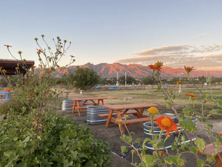 Tucson Village Farm celebrate 15 years of supporting local youths