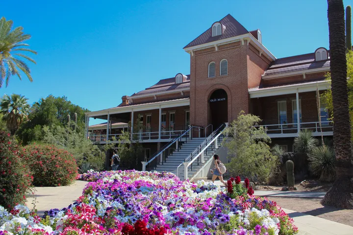 UA to end writing skills program