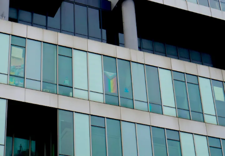 LGBTQ+ scholarship shapes future leaders