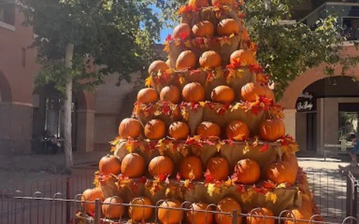 Fall fun and frights return across Tucson