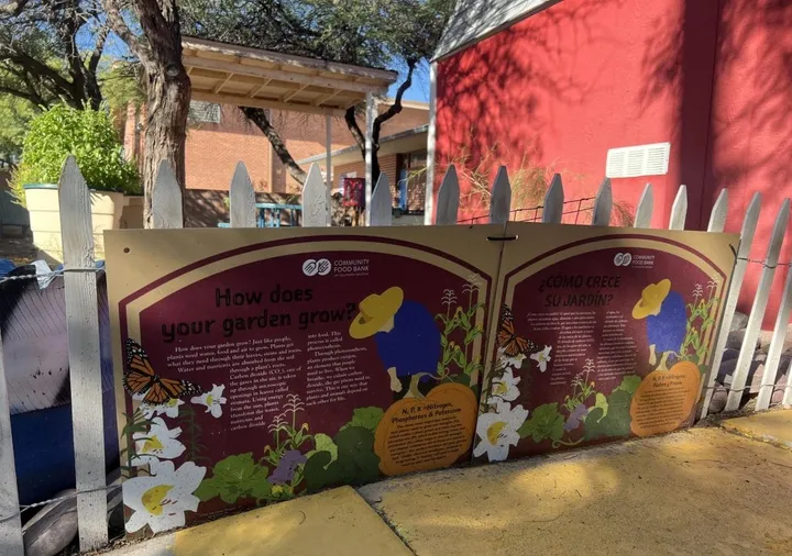 Tucson garden supports students after nutrition cuts