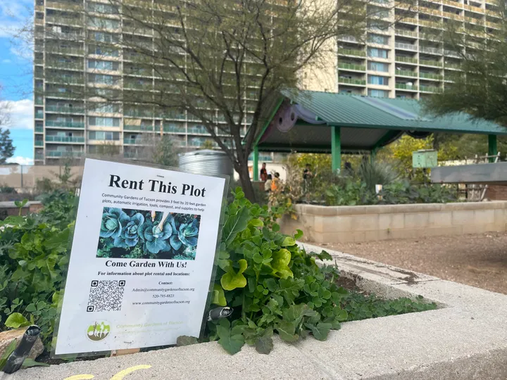 Food Systems 101 invites Tucson to explore local food systems