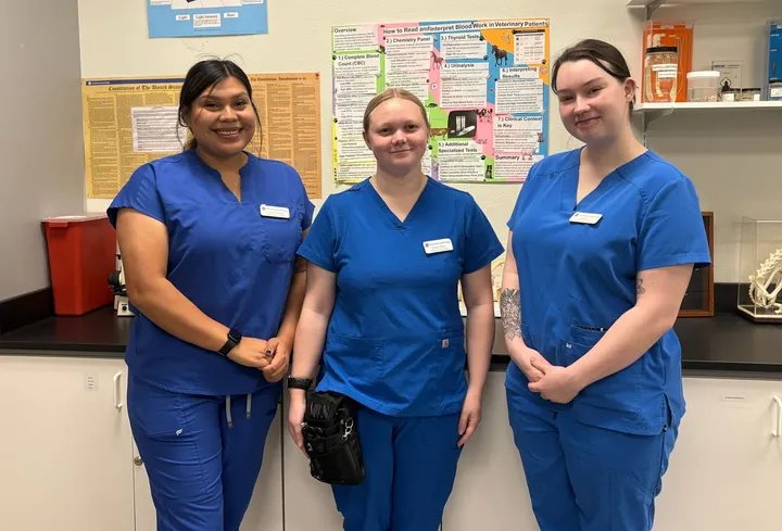 PCC Vet Tech Club offers $15 dog vaccines