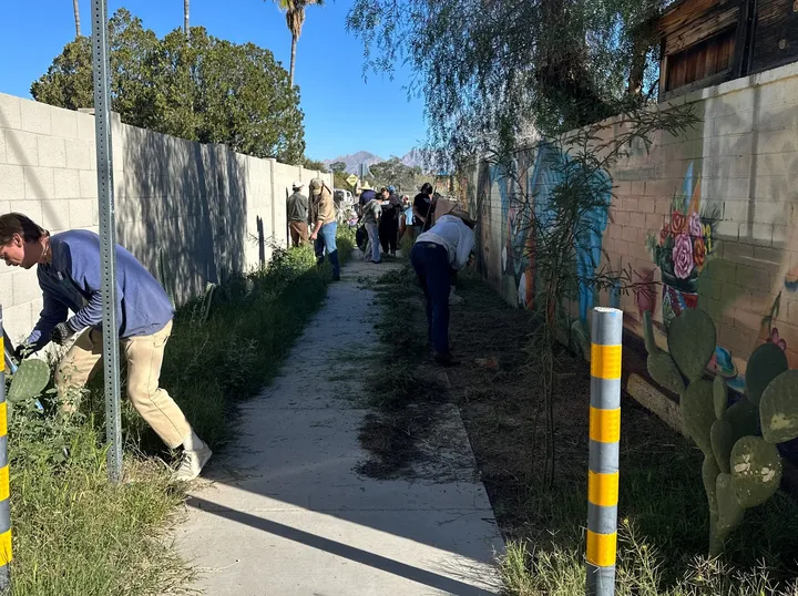 Tucson neighbors transform alley into pollinator garden