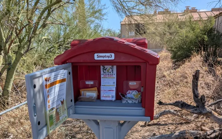 Free book swap coming to Tumamoc Hill Friday